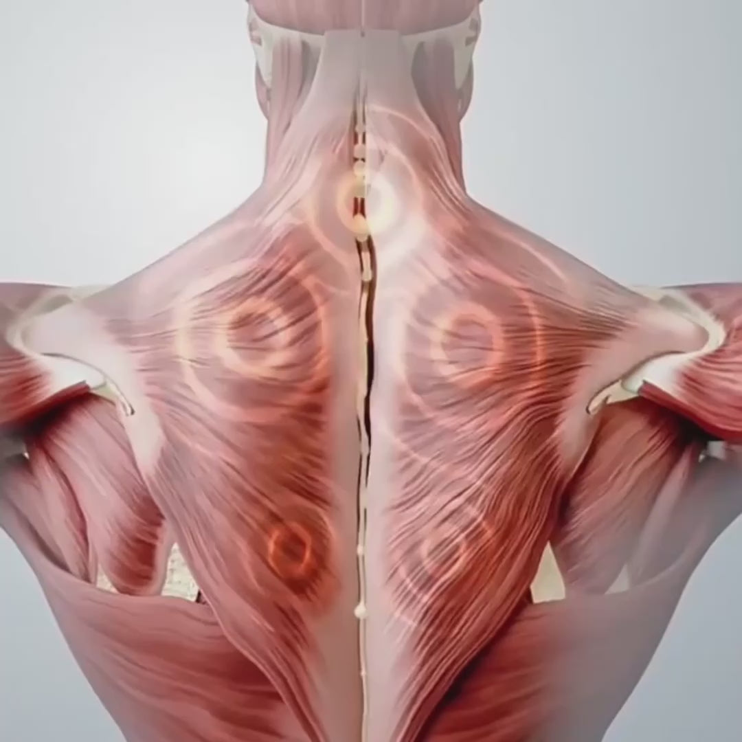 ThermaPulse Pro - Advanced Muscle Relief Therapy System